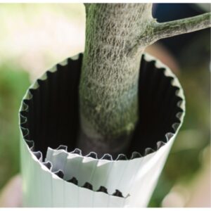 Corrugated Plastic Tree Wraps